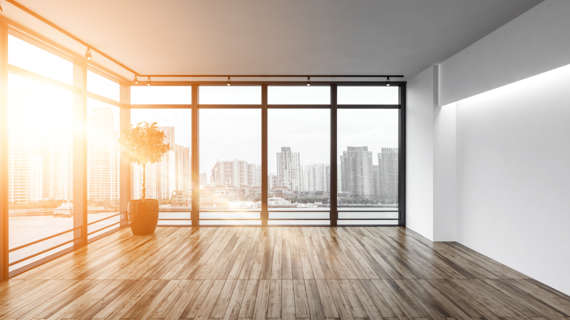 Office Window Installation