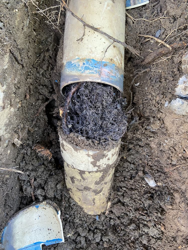 Pipe Clogged with Grease and Hair — Rossi Plumbing in Gold Coast, QLD