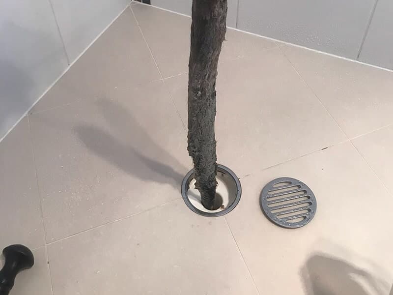 Dirt Removed from Blocked Drain — Rossi Plumbing in Gold Coast, QLD