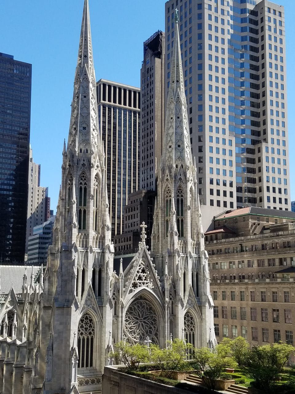 The neo-Gothic spires of St. Patrick's Cathedral rise against a backdrop of modern skyscrapers in New York City.