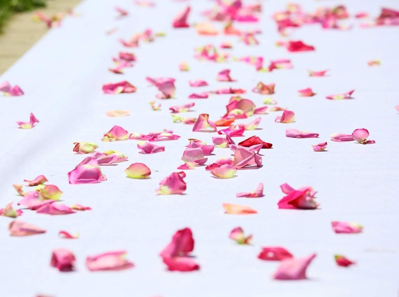 Pink and red rose petals scattered across a white aisle runner.