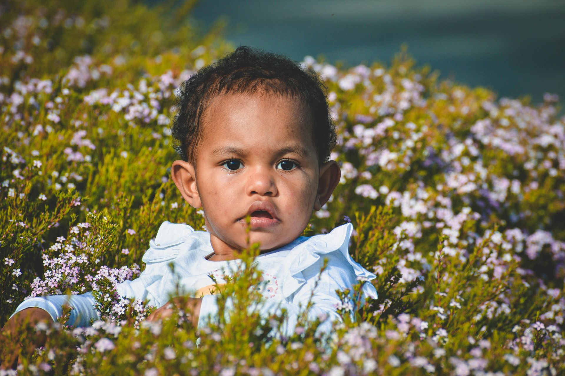 A child wearing a light blue ruffled top, sitting among a field of small, pale purple flowers in sunlight.