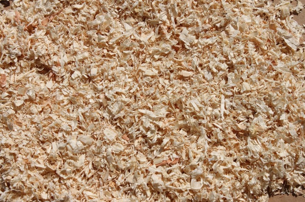 Close-up of light-colored wood shavings.