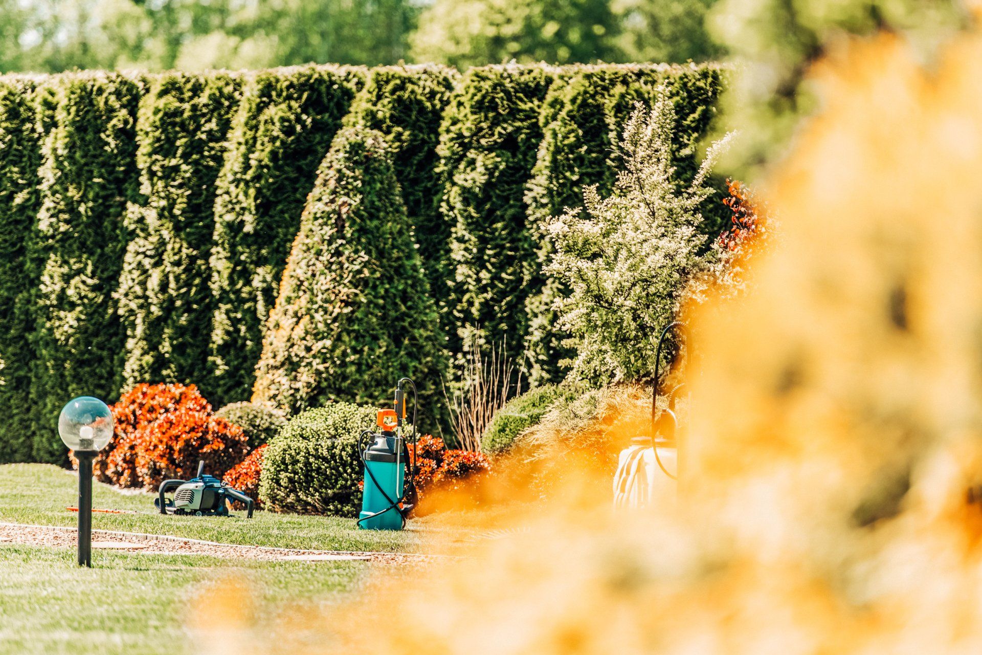 A Gorgeously Trimmed Landscape Done by Atkins in the Mid-Missouri Area.