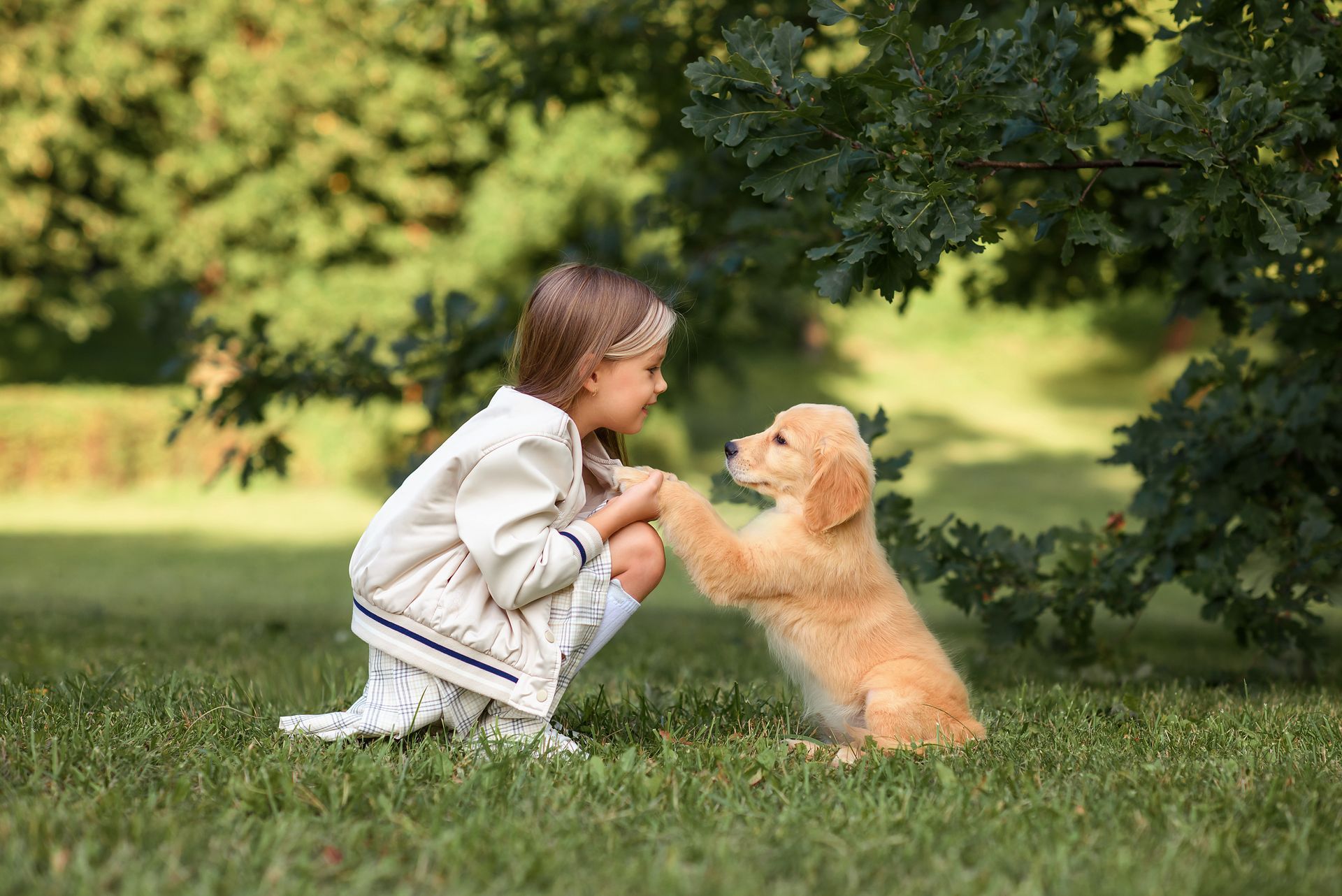 Play Safely With Your Dog Using Atkins' Hidden Dog Fence in Jefferson City, MO.