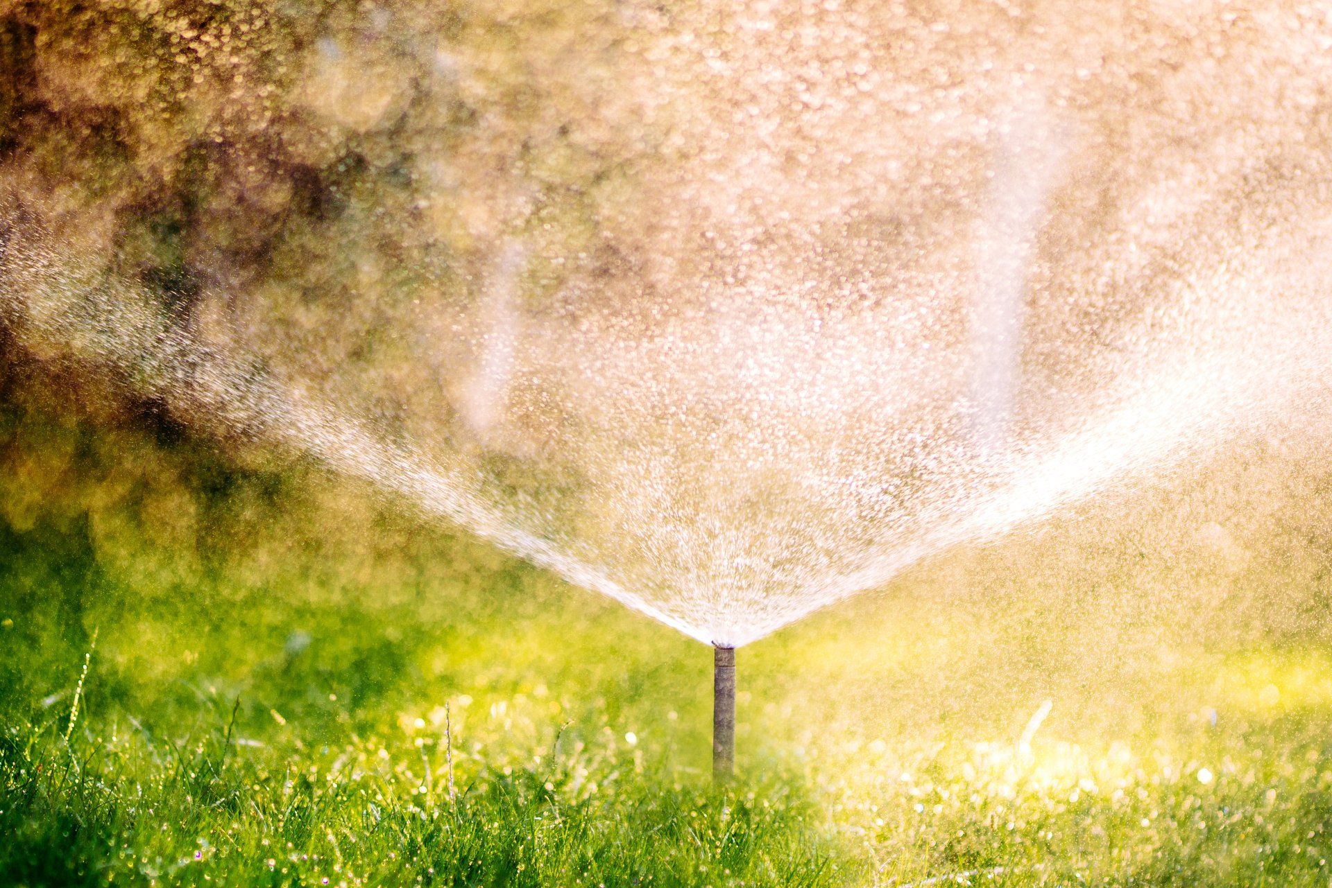 Atkins Irrigation Installation & Repair to Keep Your Mid-Missouri Lawn Hydrated
