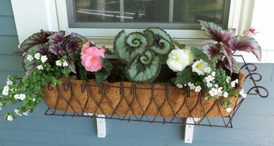 Veterinary Clinic Flower Box Boothbay & Damariscotta, ME