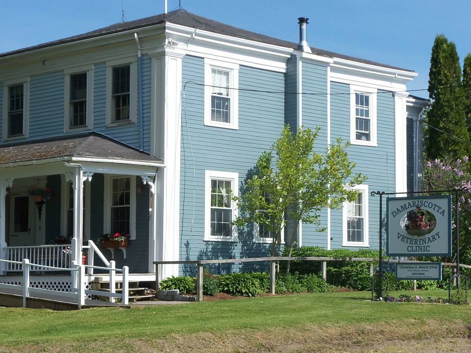 Veterinary Clinic Boothbay & Damariscotta, ME