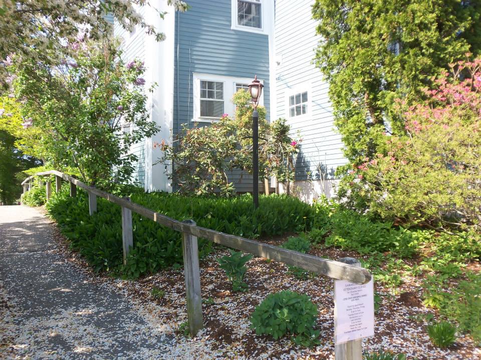 Veterinary Clinic Walkway Boothbay & Damariscotta, ME