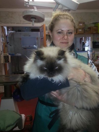 Veterinary Clinic Amber Boothbay & Damariscotta, ME