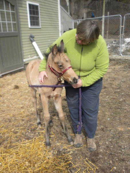 Veterinary Clinic Halter Boothbay & Damariscotta, ME