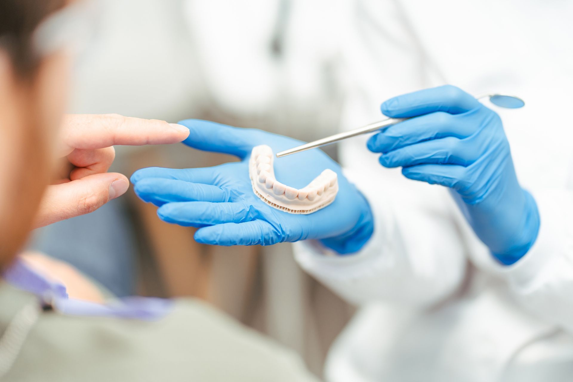 A dentist is holding a model of a person 's teeth.
