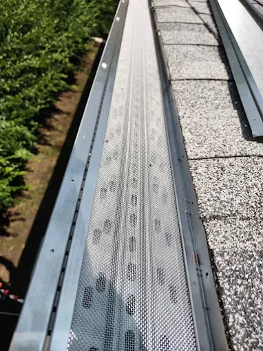 Gutter guard installed on a roof, protecting from debris. Metal screen is attached to the edge of the roof.