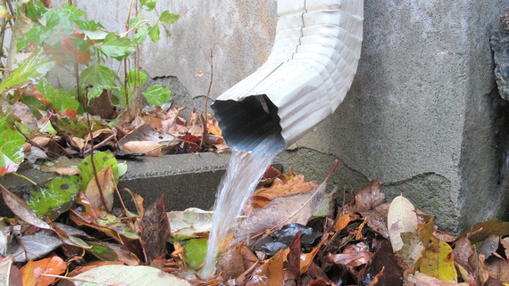 Rainwater pouring from a metal downspout onto fallen autumn leaves.