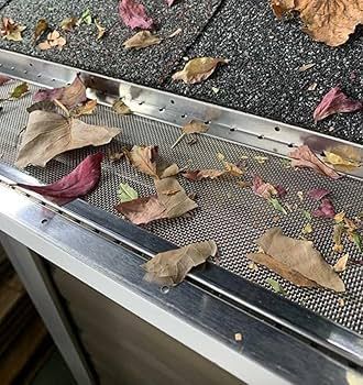Gutter with mesh screen, filled with dry, brown and red leaves on a dark roof.
