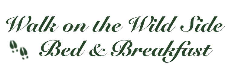 Walk on the Wild Side Bed & Breakfast