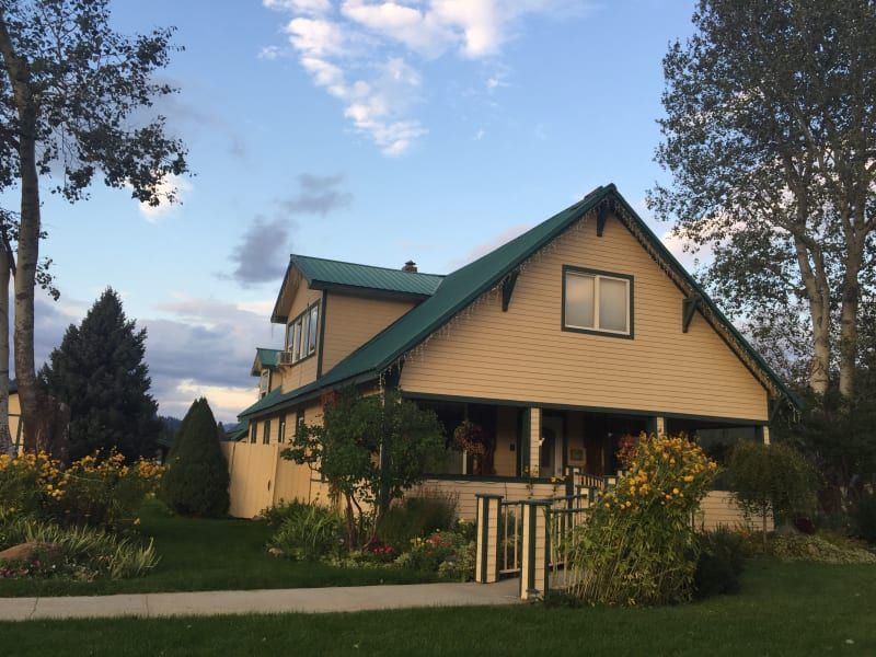 A house with a green roof is surrounded by trees
