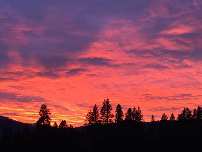 A sunset with a silhouette of trees in the foreground