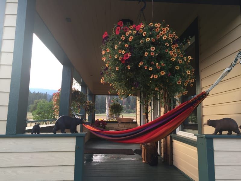 A porch with a hammock and a hanging basket of flowers