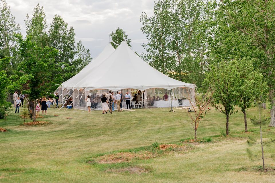 A large white tent is sitting in the middle of a grassy field surrounded by trees.