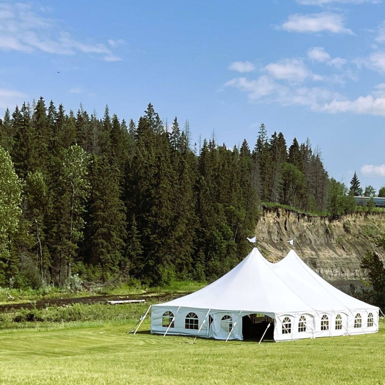 A large white tent in a grassy field with trees in the background