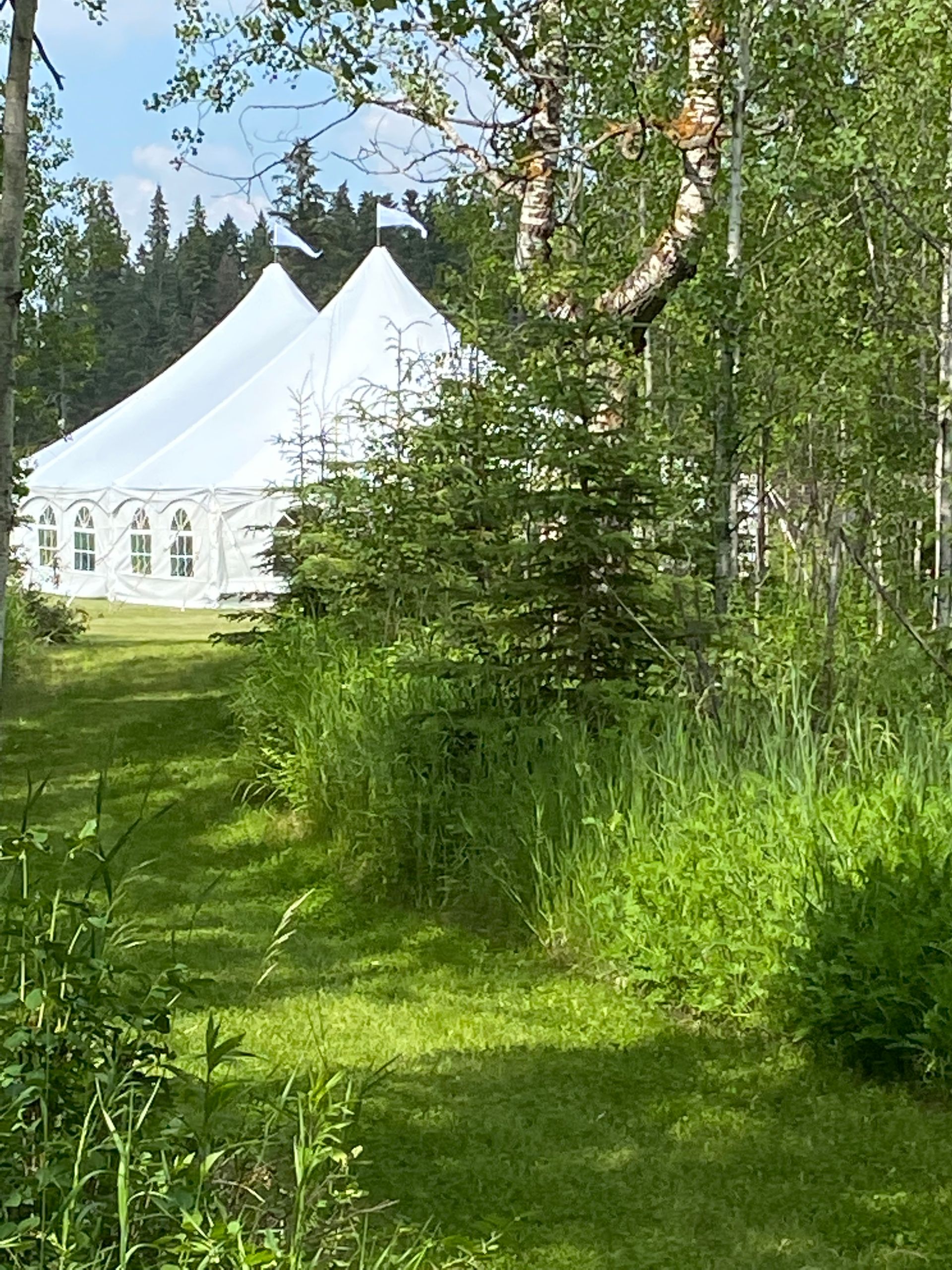 A white tent is sitting in the middle of a grassy field surrounded by trees.