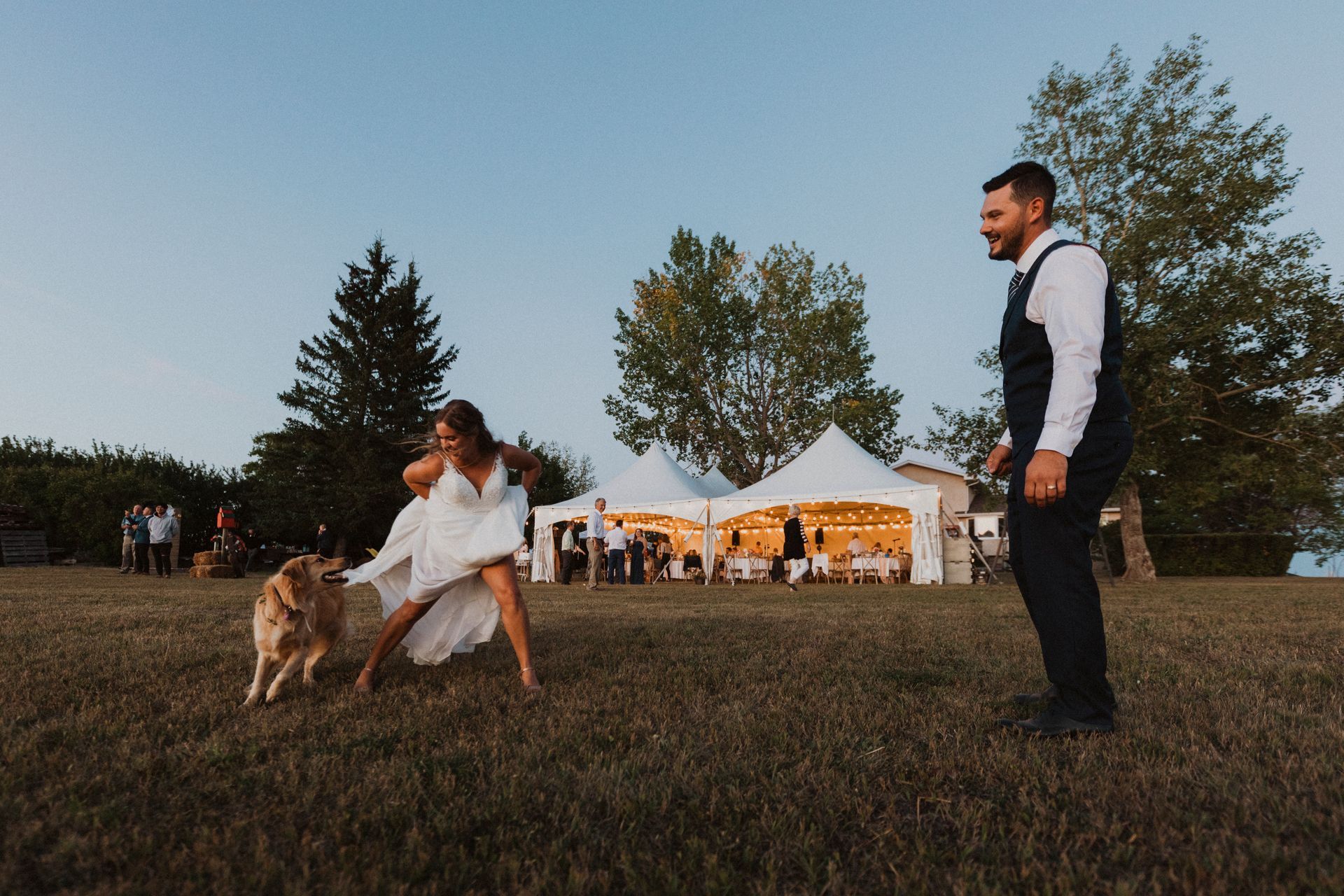 A bride and groom are playing with their dog in a field.