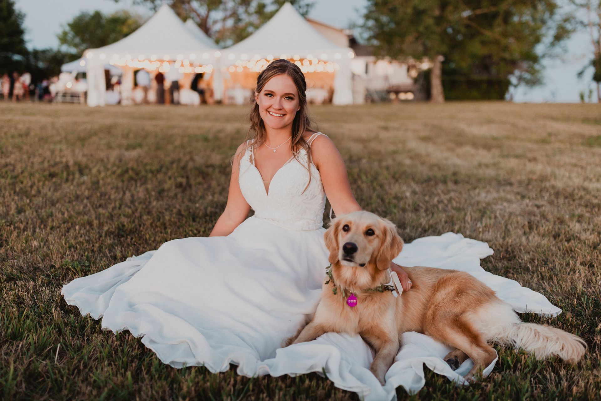A bride in a wedding dress is sitting on the grass with a dog.
