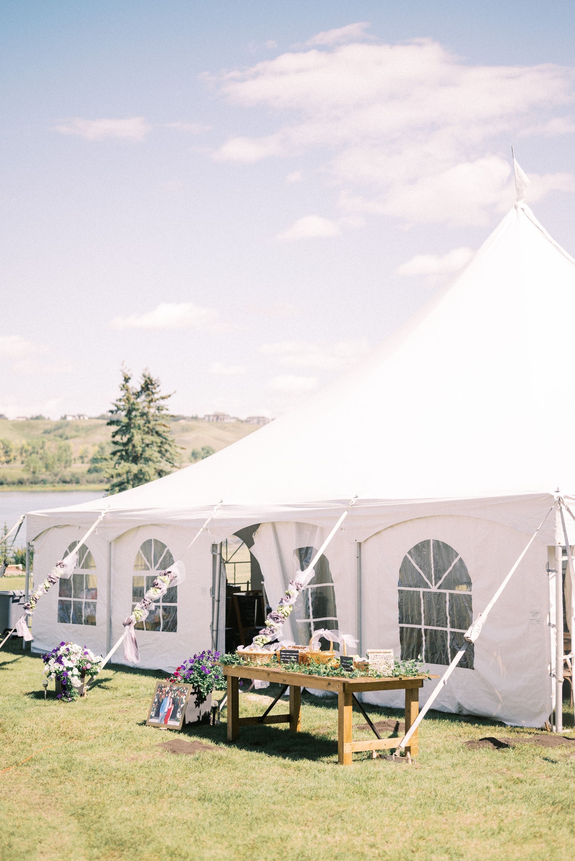 A white tent with a table in front of it in a field.