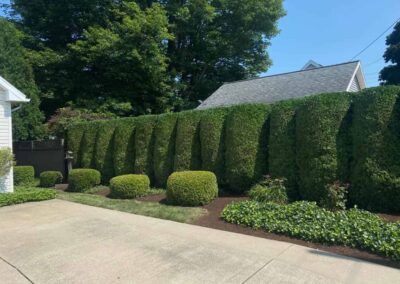 Large Hedge Is Surrounding in Front of House — Erie, PA — Saldana Services LLC