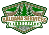 Saldana Services LLC