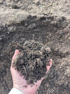 Bed Mix – Mobile, AL – A Bloom Garden Center