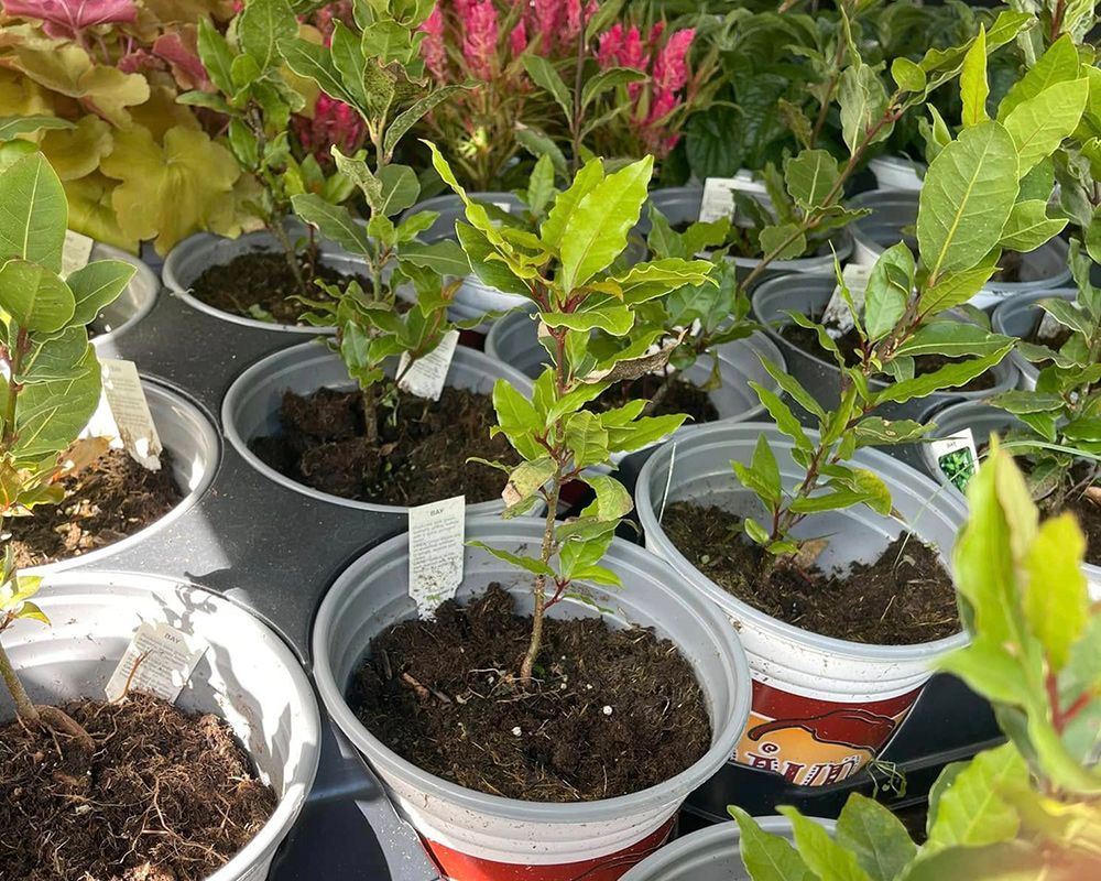 Specialized Soils – Mobile, AL – A Bloom Garden Center