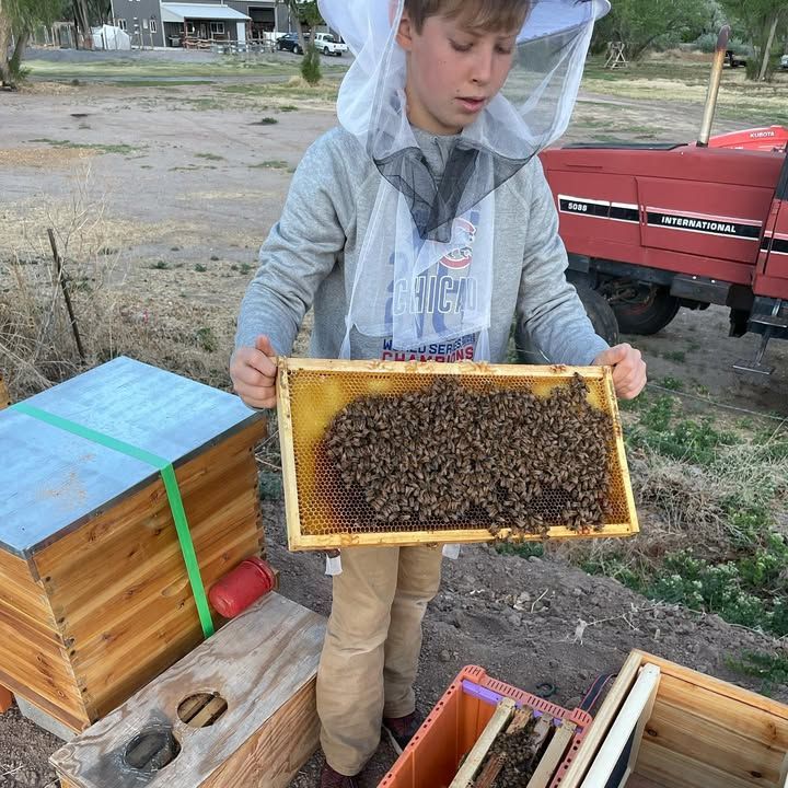 Boy in beekeeping suit holds a honeycomb frame covered in bees; near a beehive and tractor.
