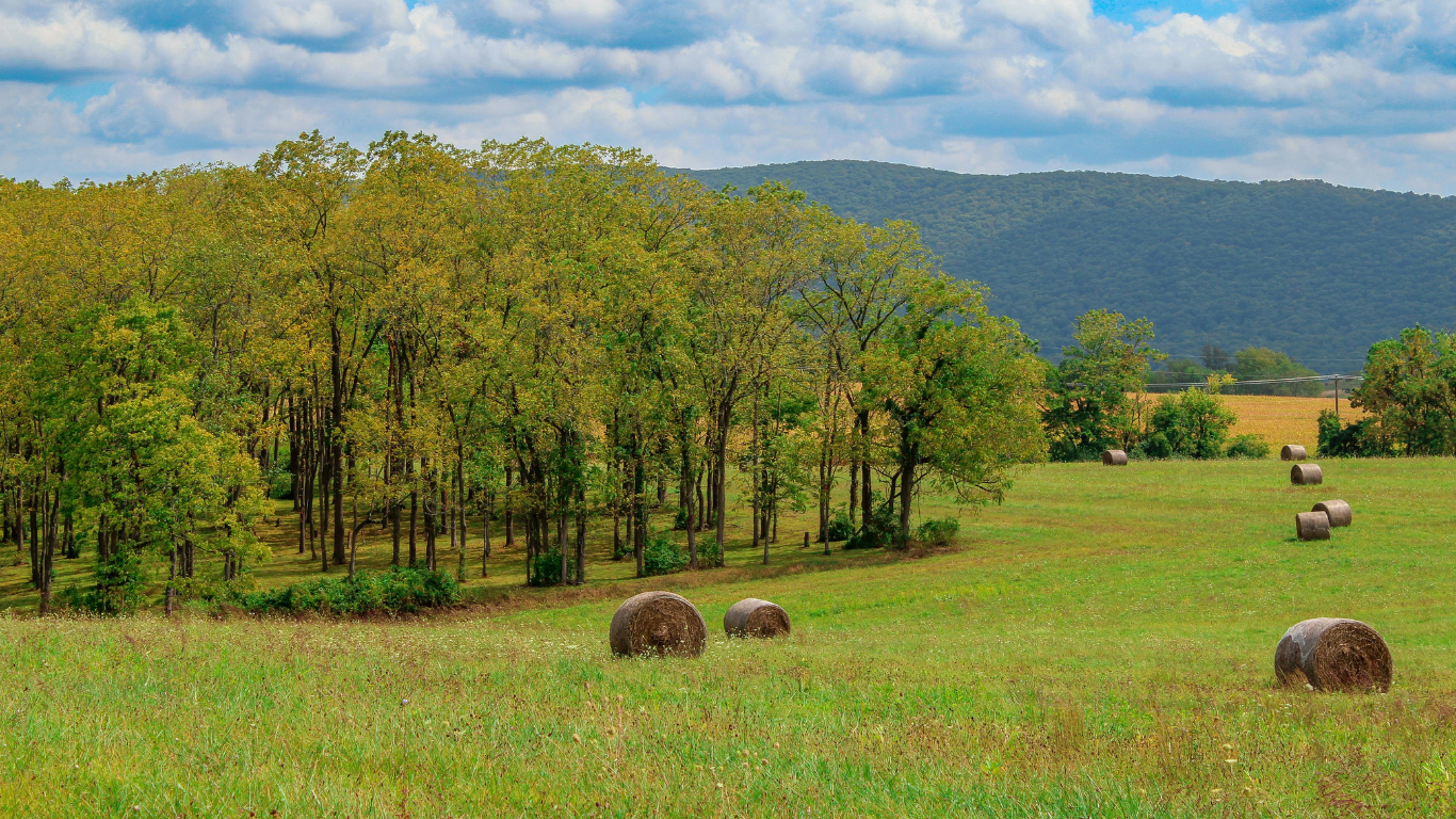Green field with hay bales, trees, and a mountain under a partly cloudy sky.