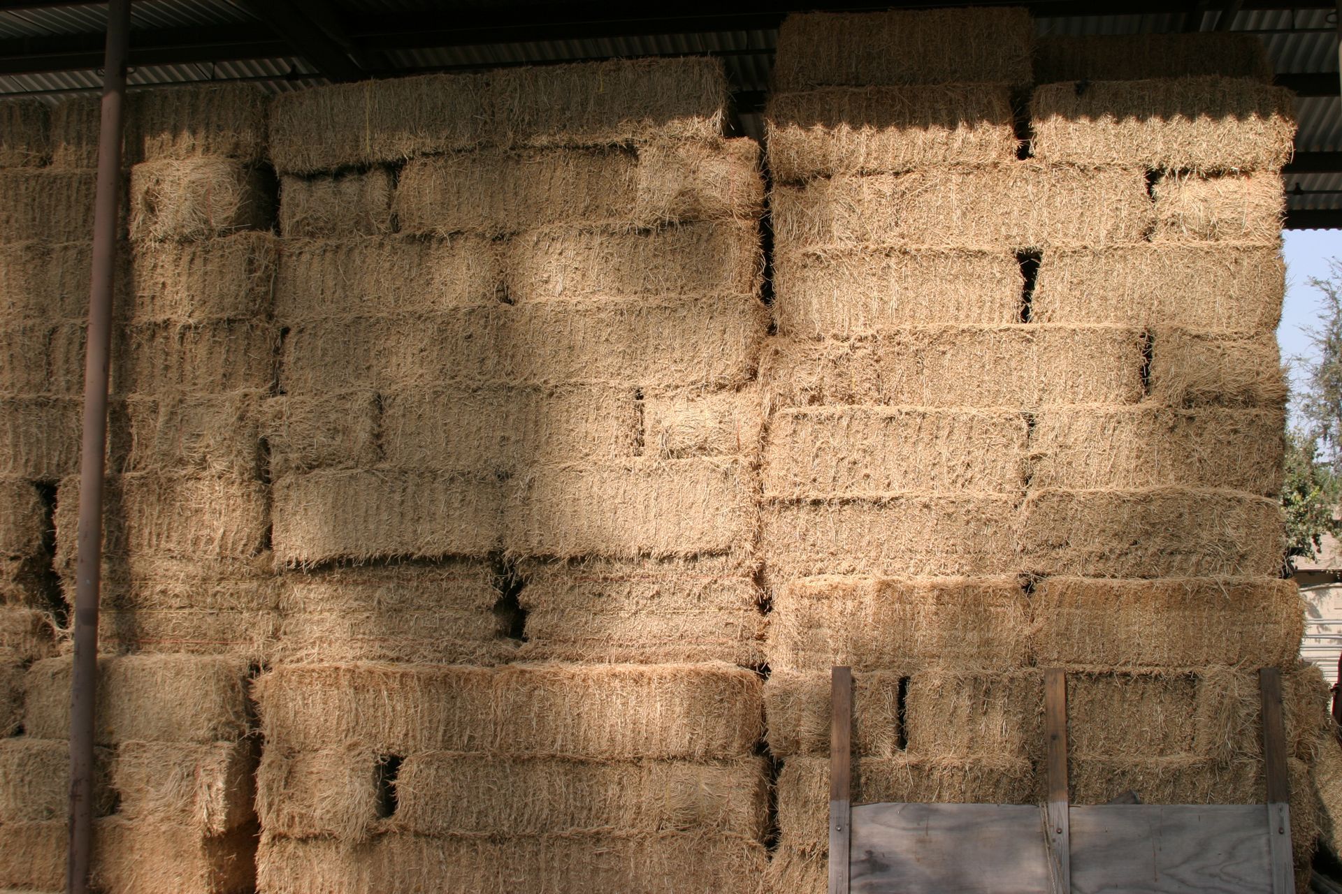 Stacked rectangular straw bales in a storage shed.