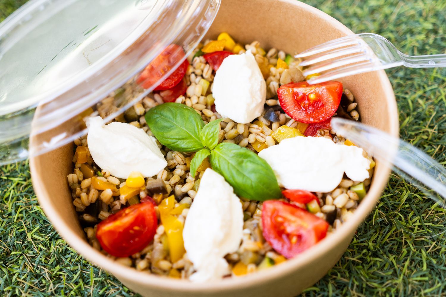 Una ciotola di cibo con pomodori, mozzarella, basilico e riso.