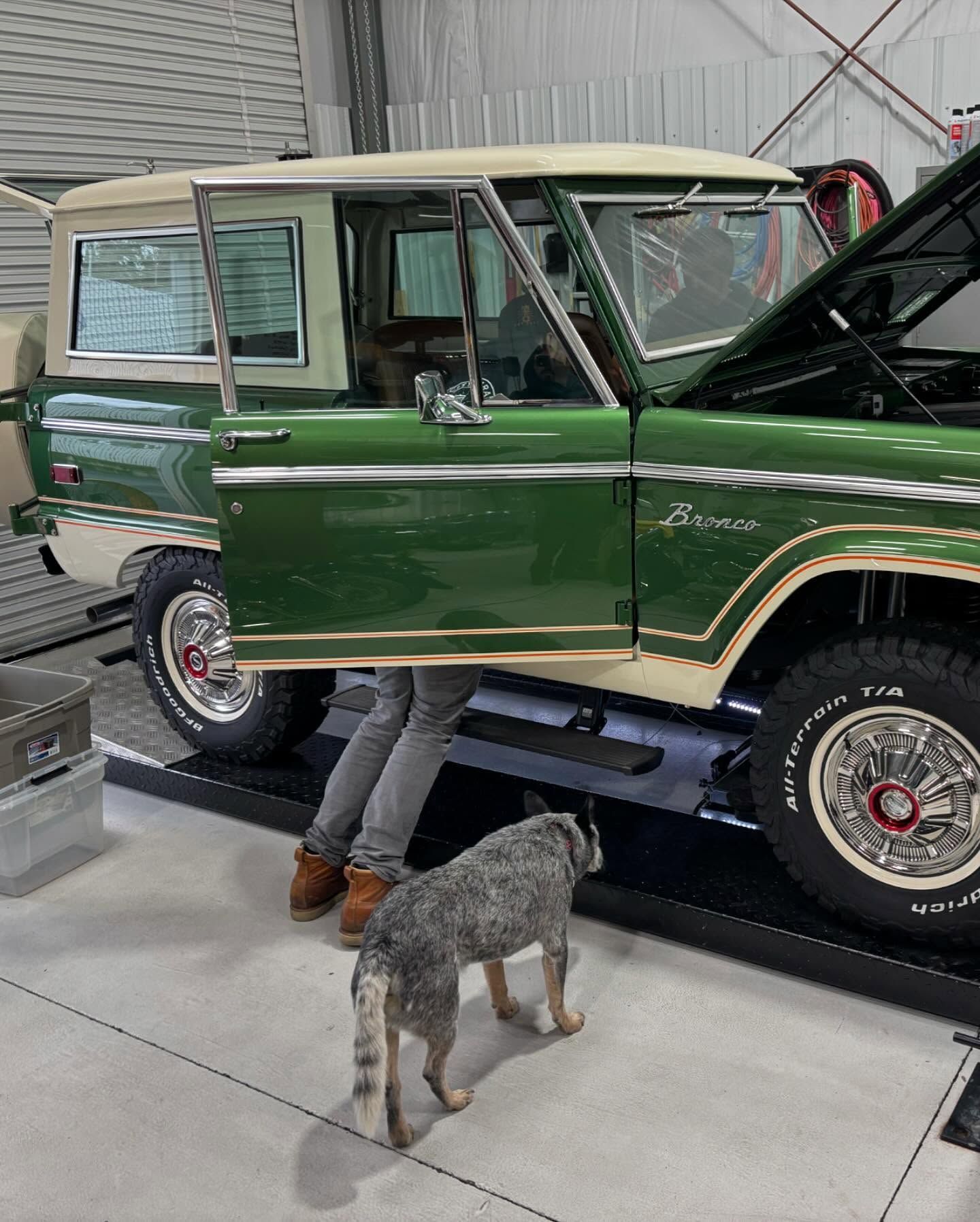 A man and a dog are standing next to a green bronco in a garage.