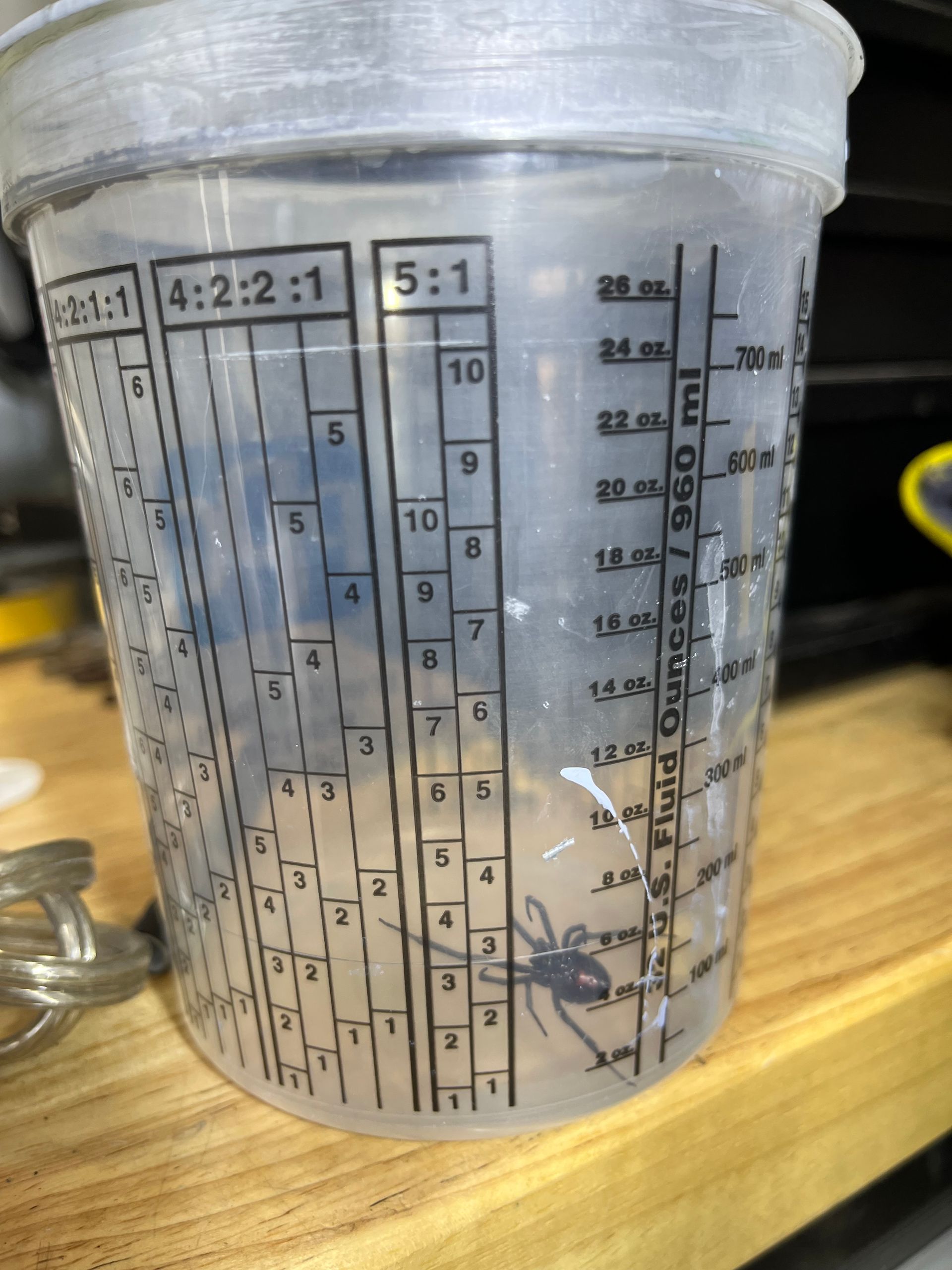 A measuring cup with the number 5 on it