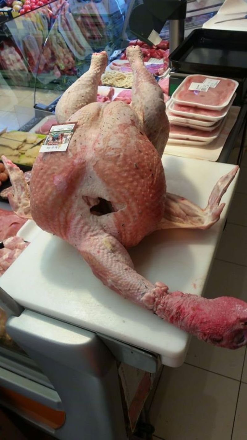 vendita di carne di pollo e galline