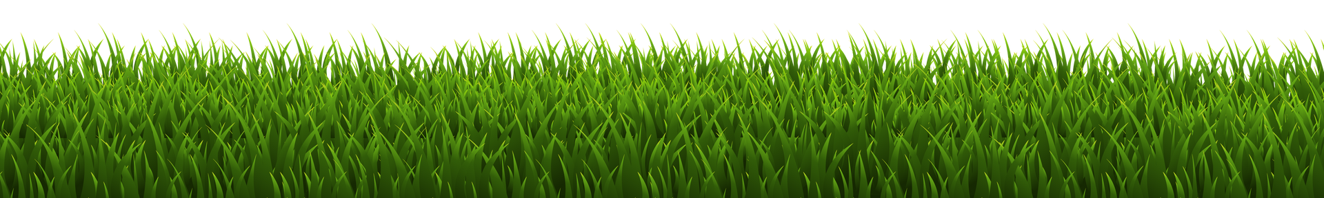 Grass Divider