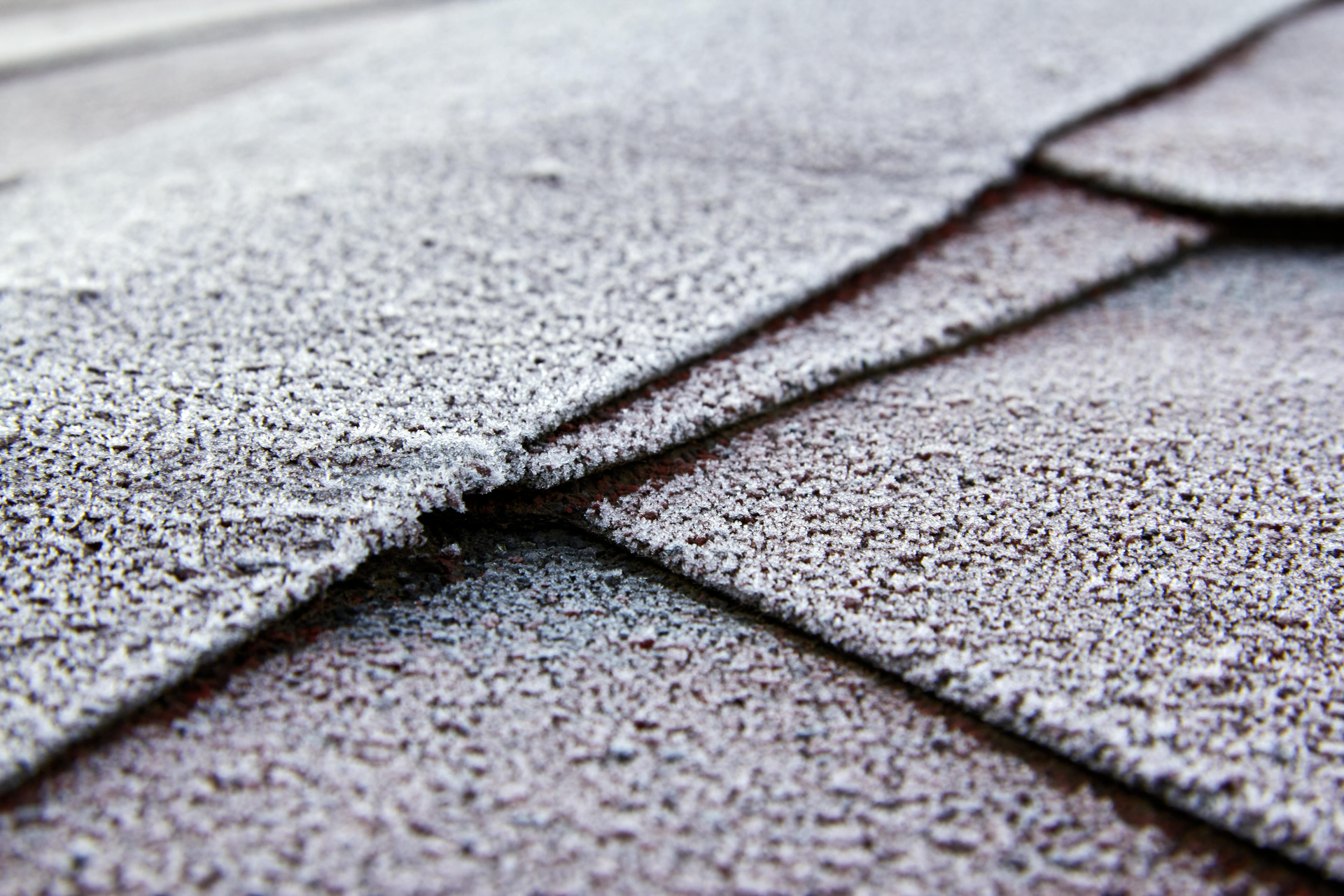 Close-up of frost-covered asphalt roof shingles, showing detailed texture and cold conditions.