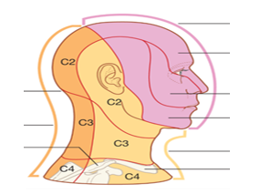 Treatment for headaches | Manchester Osteopathy