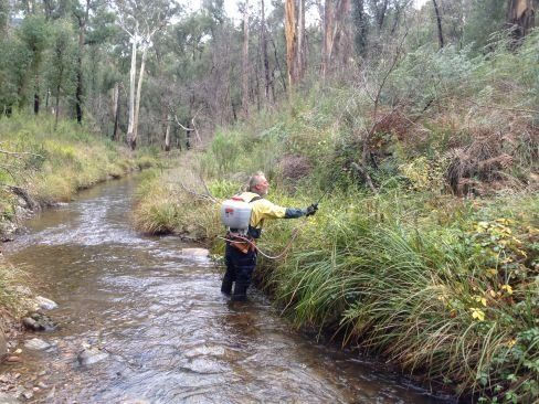 Waterway Weed Control