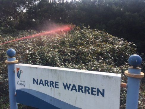 Roadside Weed Control