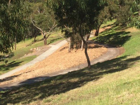 clean renovation site