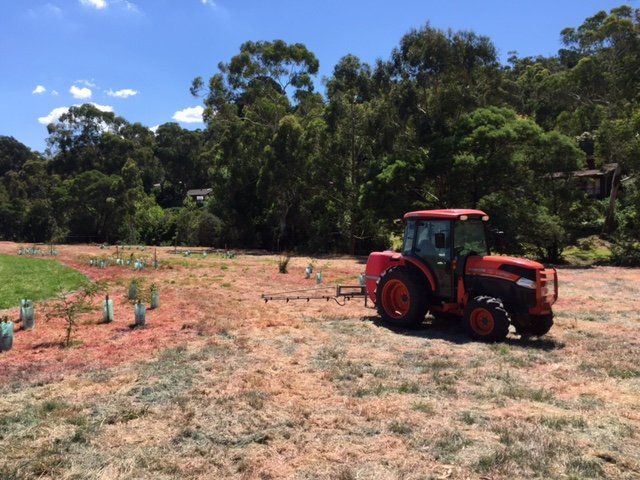 Weed maintenance field