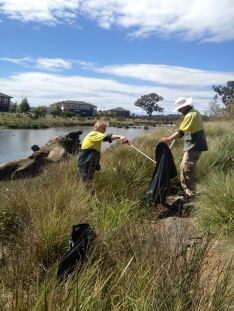 Wetland Maintenance Works