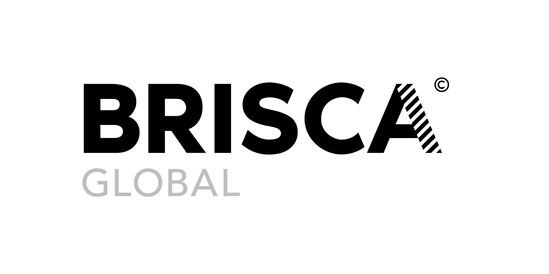 Brisca - outsourced accounting partner