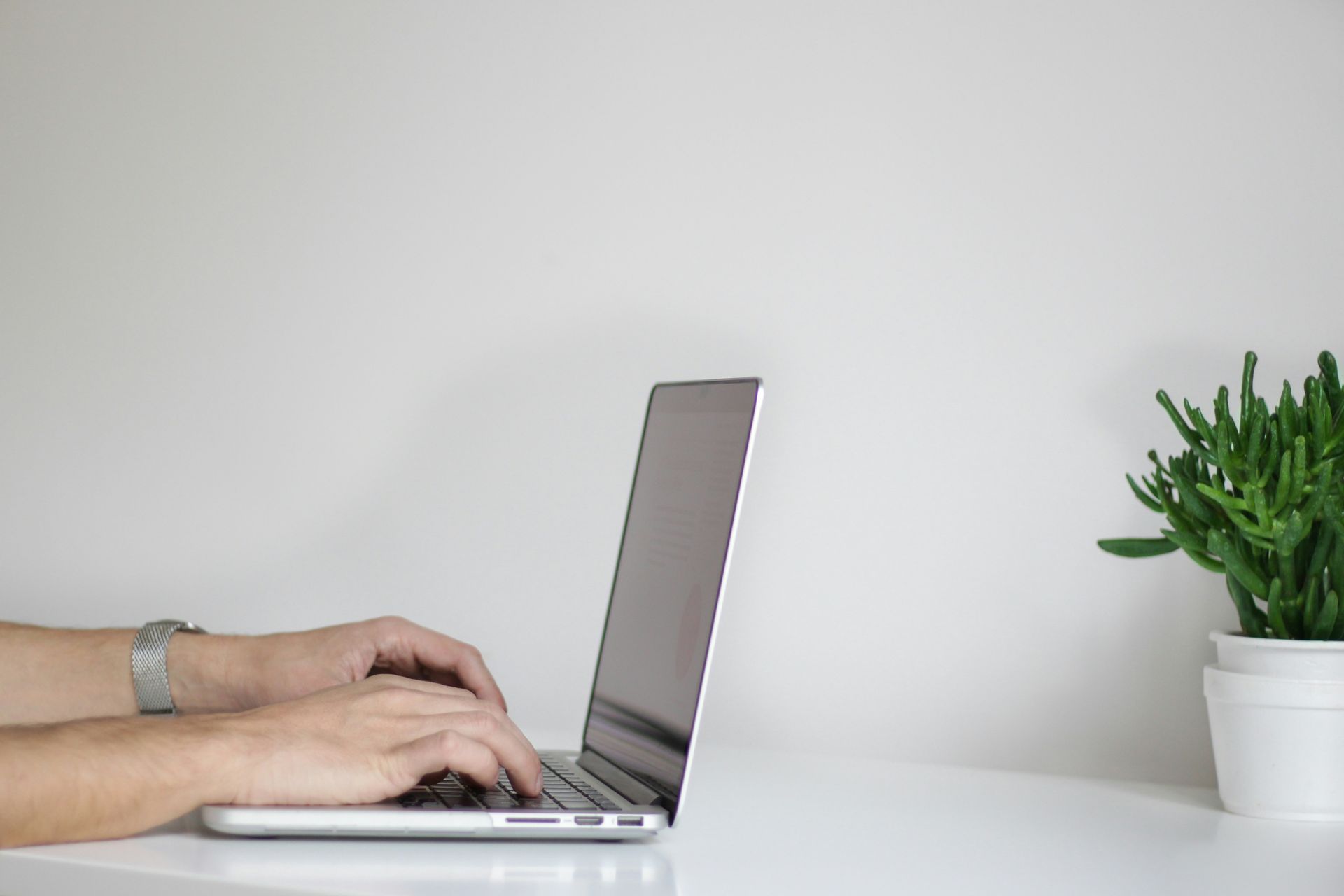 A person is typing on a laptop next to a potted plant